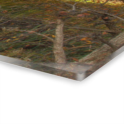 U R There Photography Fall Pond on Sutton Road Rustic Farmhouse Acrylic Wall Print