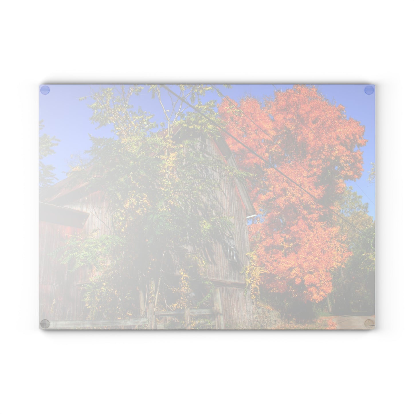 U R There Photography Oxford Rusted Red in Fall Rustic Farmhouse Tempered-Glass Cutting Board