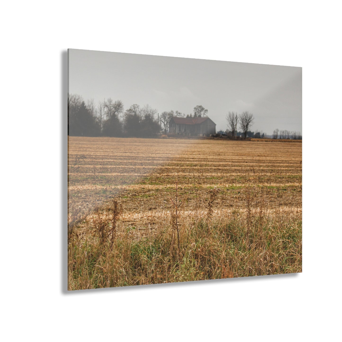 U R There Photography Freiberger Road Grey Across the Field Rustic Farmhouse Acrylic Wall Print