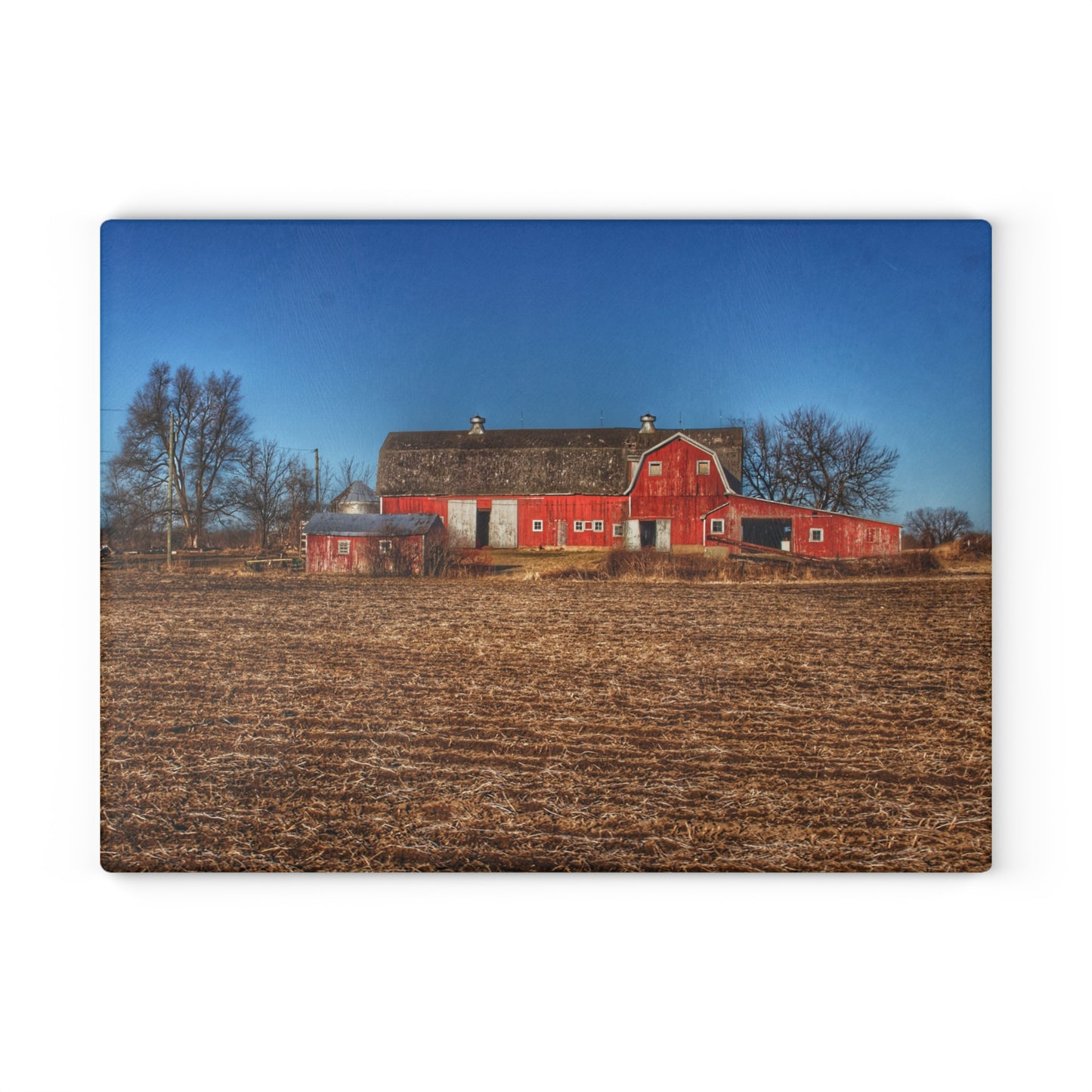 U R There Photography Rochester Road Red II Rustic Farmhouse Tempered-Glass Cutting Board