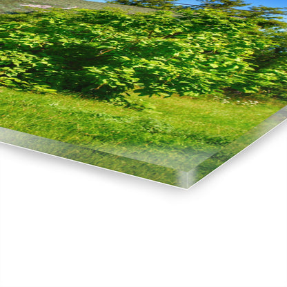 U R There Photography Hidden Grey of Hunters Creek Rustic Farmhouse Acrylic Wall Print