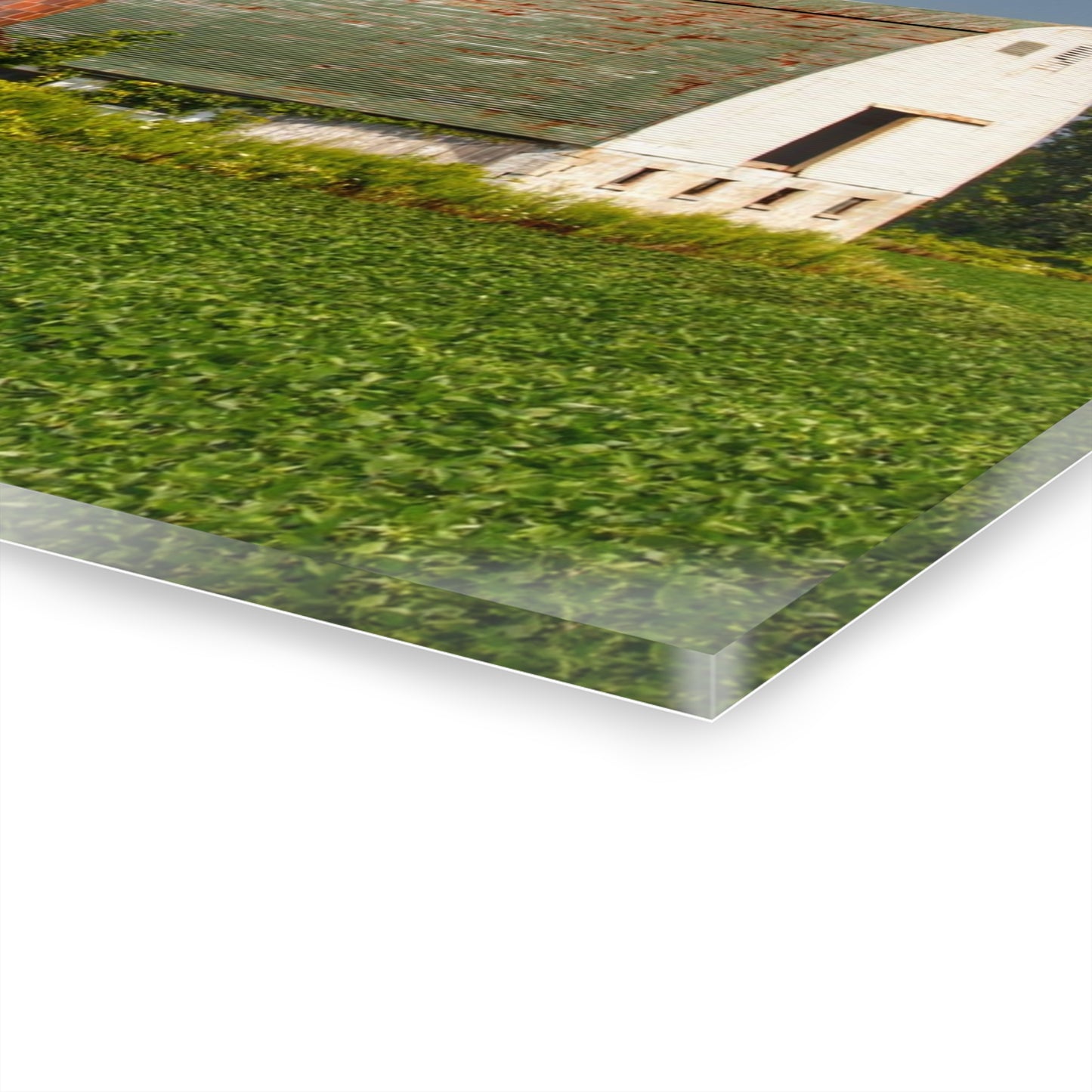 U R There Photography Elba White and Silo Rustic Farmhouse Acrylic Wall Print