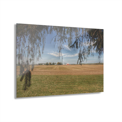 U R There Photography Cass City Farm Rustic Farmhouse Acrylic Wall Print