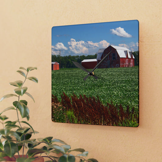 U R There Photography South Gera Road Red Rustic Farmhouse Acrylic Analog Wall Clock