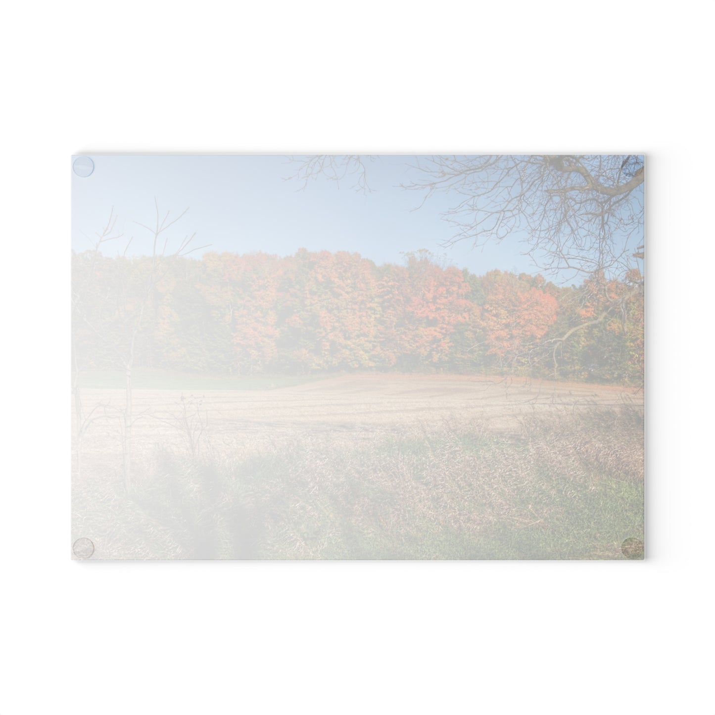 U R There Photography Fall on Piersonville Road Rustic Farmhouse Tempered-Glass Cutting Board