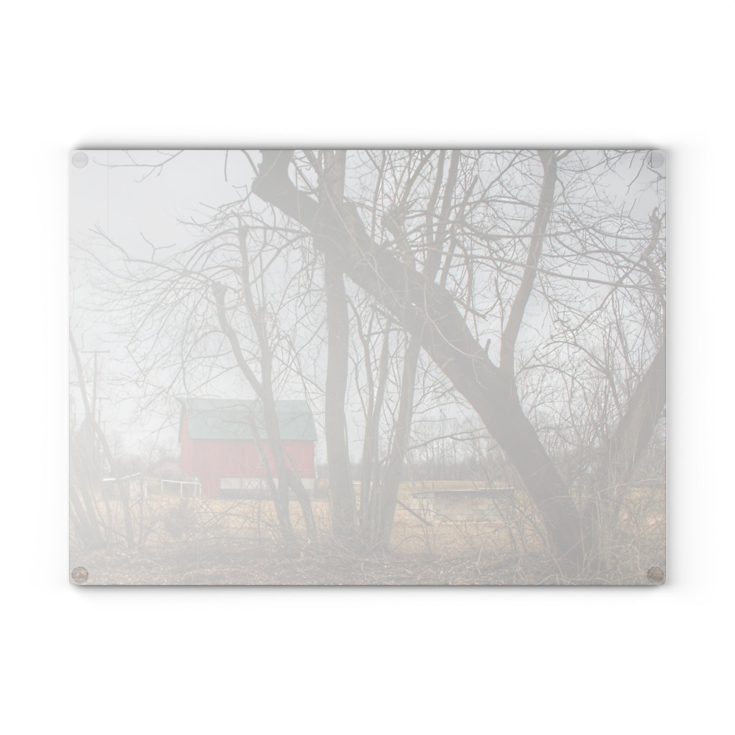 U R There Photography Daley Road Red II Rustic Farmhouse Tempered-Glass Cutting Board