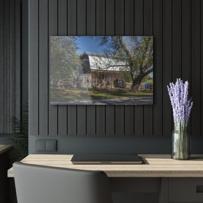 U R There Photography Birch Run Road Grey Rustic Farmhouse Acrylic Wall Print