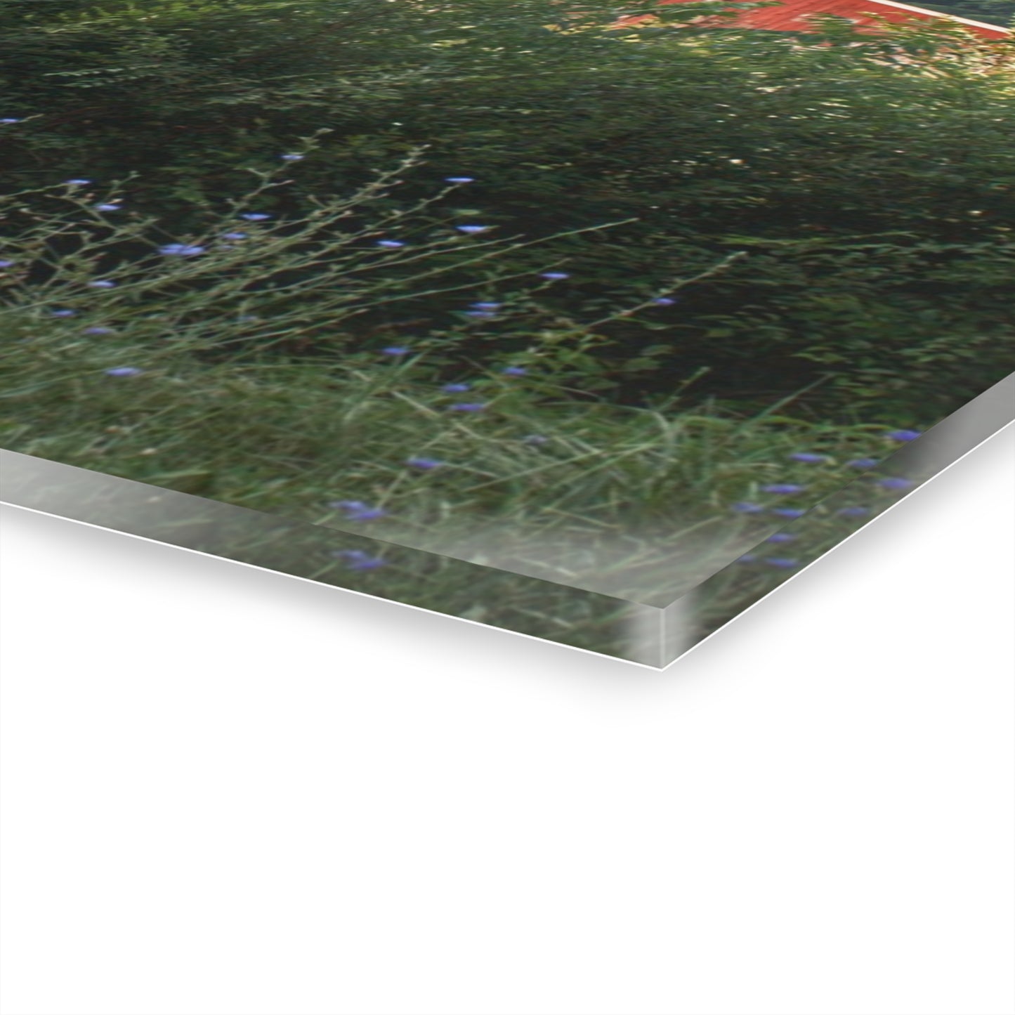 U R There Photography Genesee Road Red I Rustic Farmhouse Acrylic Wall Print