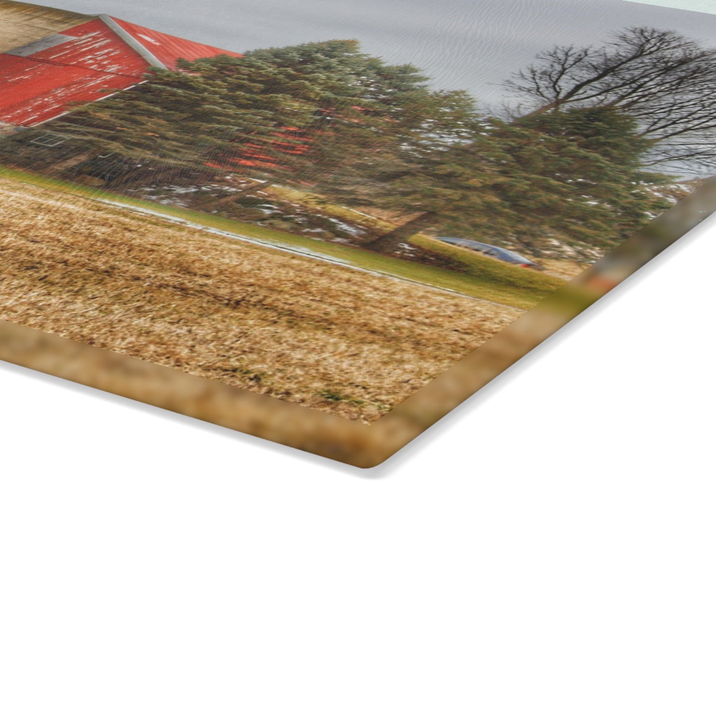 U R There Photography Laur Road Red Among the Pines I Rustic Farmhouse Tempered-Glass Cutting Board
