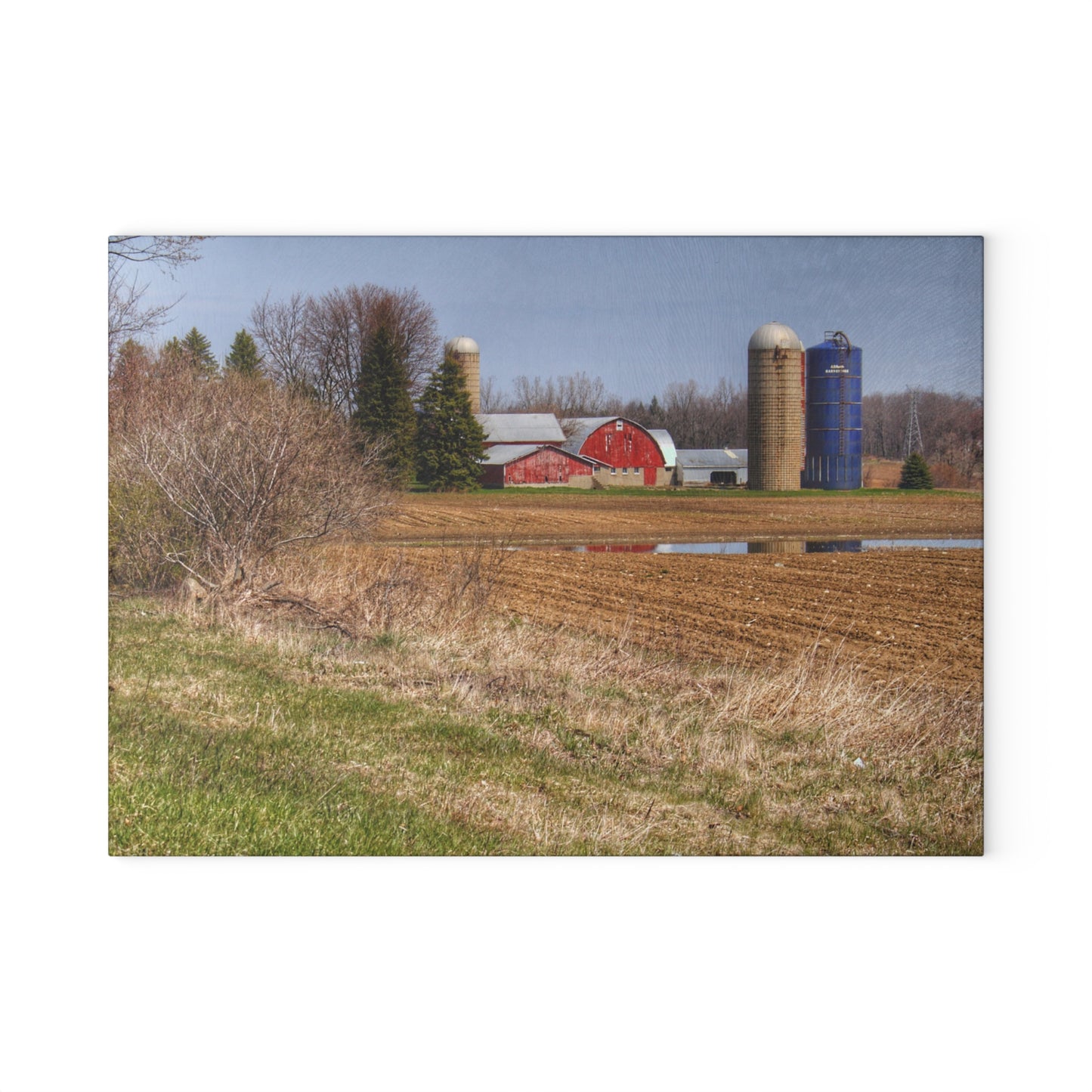 U R There Photography M-24 Northern Reds Farm Rustic Farmhouse Tempered-Glass Cutting Board