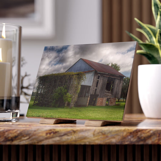 U R There Photography Pergola Barn Rustic Farmhouse Decorative Ceramic Tile