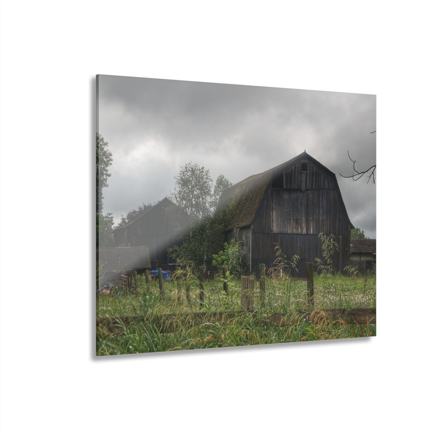 U R There Photography Greys of Summer Road Rustic Farmhouse Acrylic Wall Print