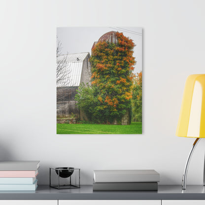U R There Photography Ludwig Road Oxford Grey and Silo Rustic Farmhouse Acrylic Wall Print