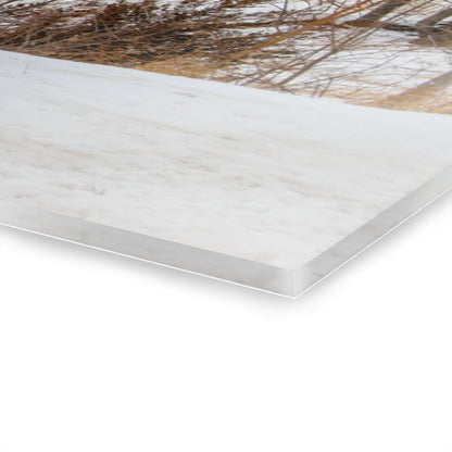 U R There Photography Hadley Red II Rustic Farmhouse Acrylic Wall Print