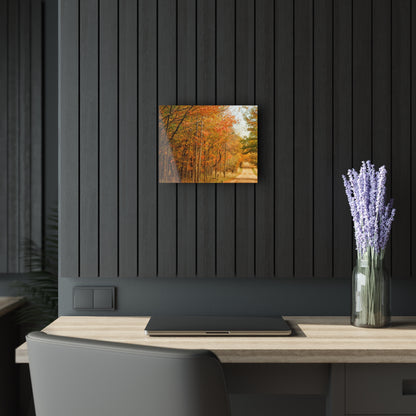 U R There Photography Fall on Murphy Lake II Rustic Farmhouse Acrylic Wall Print