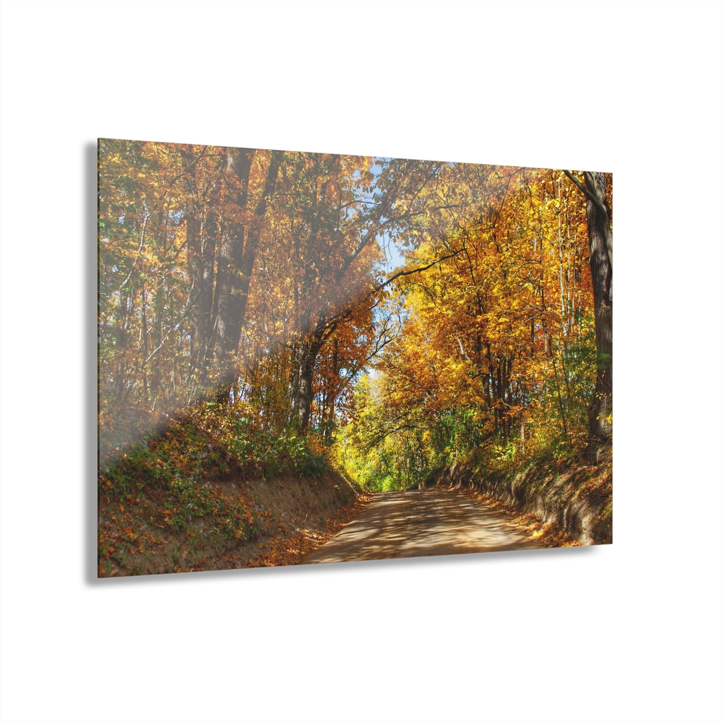 U R There Photography Harson Road in Fall I Rustic Farmhouse Acrylic Wall Print