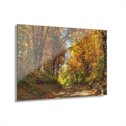 U R There Photography Harson Road in Fall I Rustic Farmhouse Acrylic Wall Print