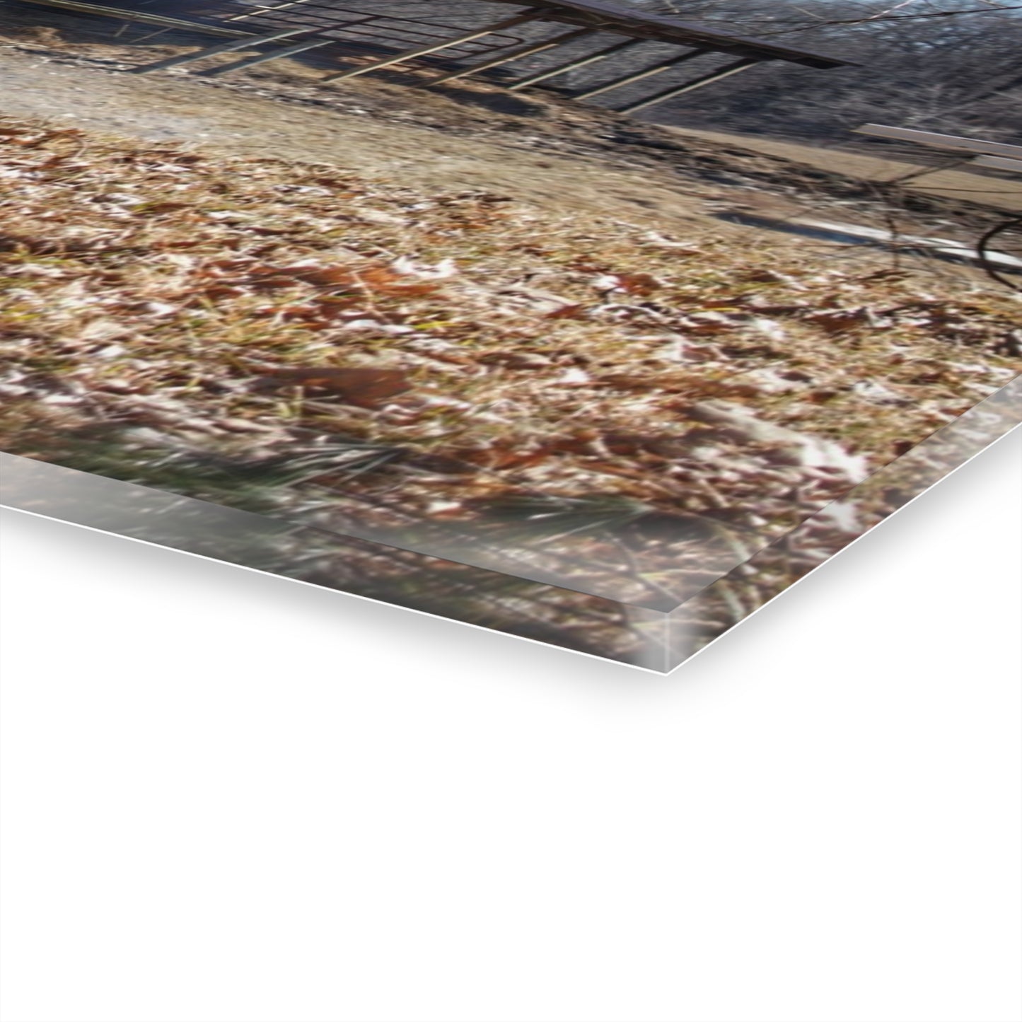 U R There Photography Hagerman Hidden Rustic Farmhouse Acrylic Wall Print