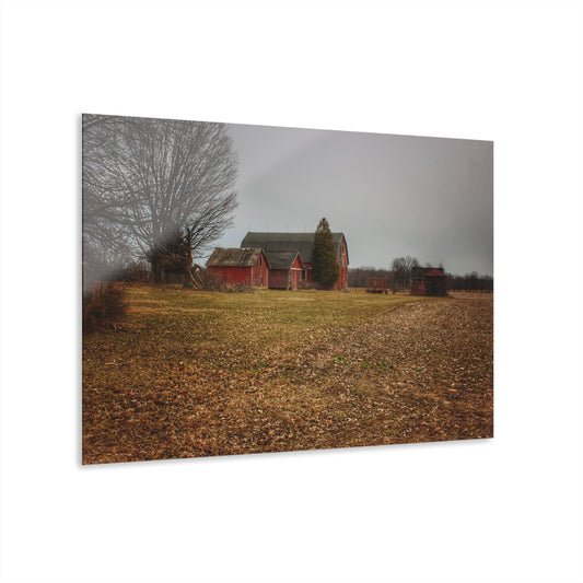 U R There Photography Wilder Road Reds in Spring Rustic Farmhouse Acrylic Wall Print