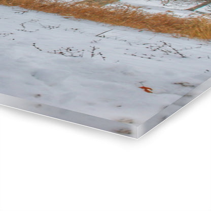 U R There Photography Hosner Road Grey in Late Fall Rustic Farmhouse Acrylic Wall Print