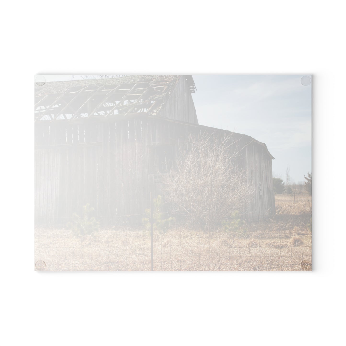 U R There Photography Leix Road Forgotten Grey II Rustic Farmhouse Tempered-Glass Cutting Board