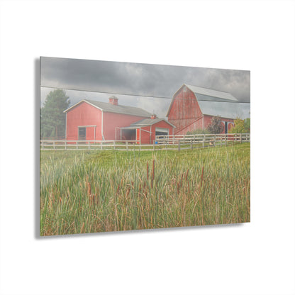 U R There Photography Greenwood Reds Rustic Farmhouse Acrylic Wall Print