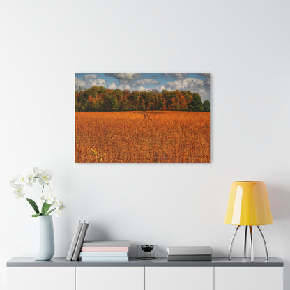 U R There Photography Fall on Murphy Lake I Rustic Farmhouse Acrylic Wall Print