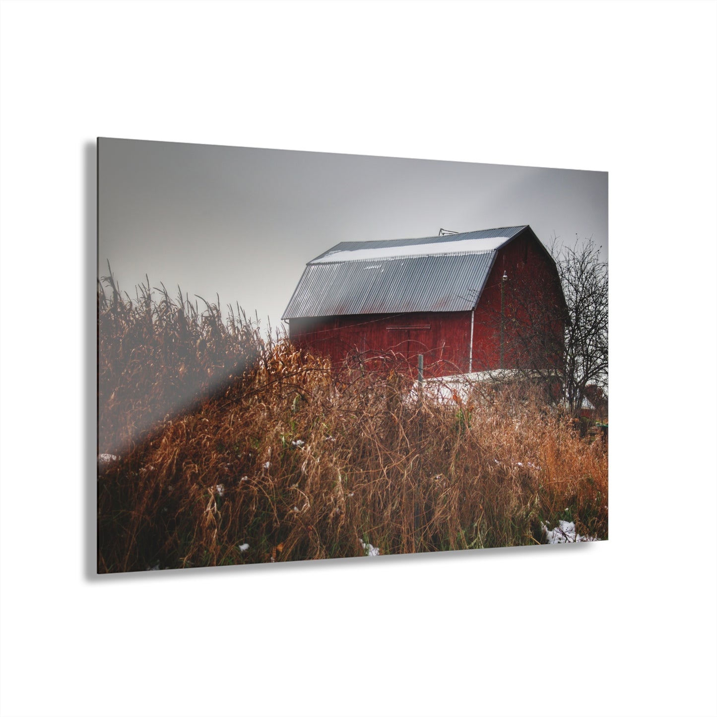 U R There Photography Noble Road Red Rustic Farmhouse Acrylic Wall Print