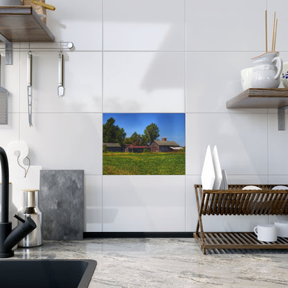 U R There Photography Birch Run Road Greys I Rustic Farmhouse Decorative Ceramic Tile