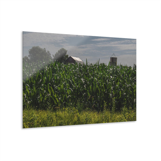 U R There Photography Above the Corn on Piersonville Road I Rustic Farmhouse Acrylic Wall Print
