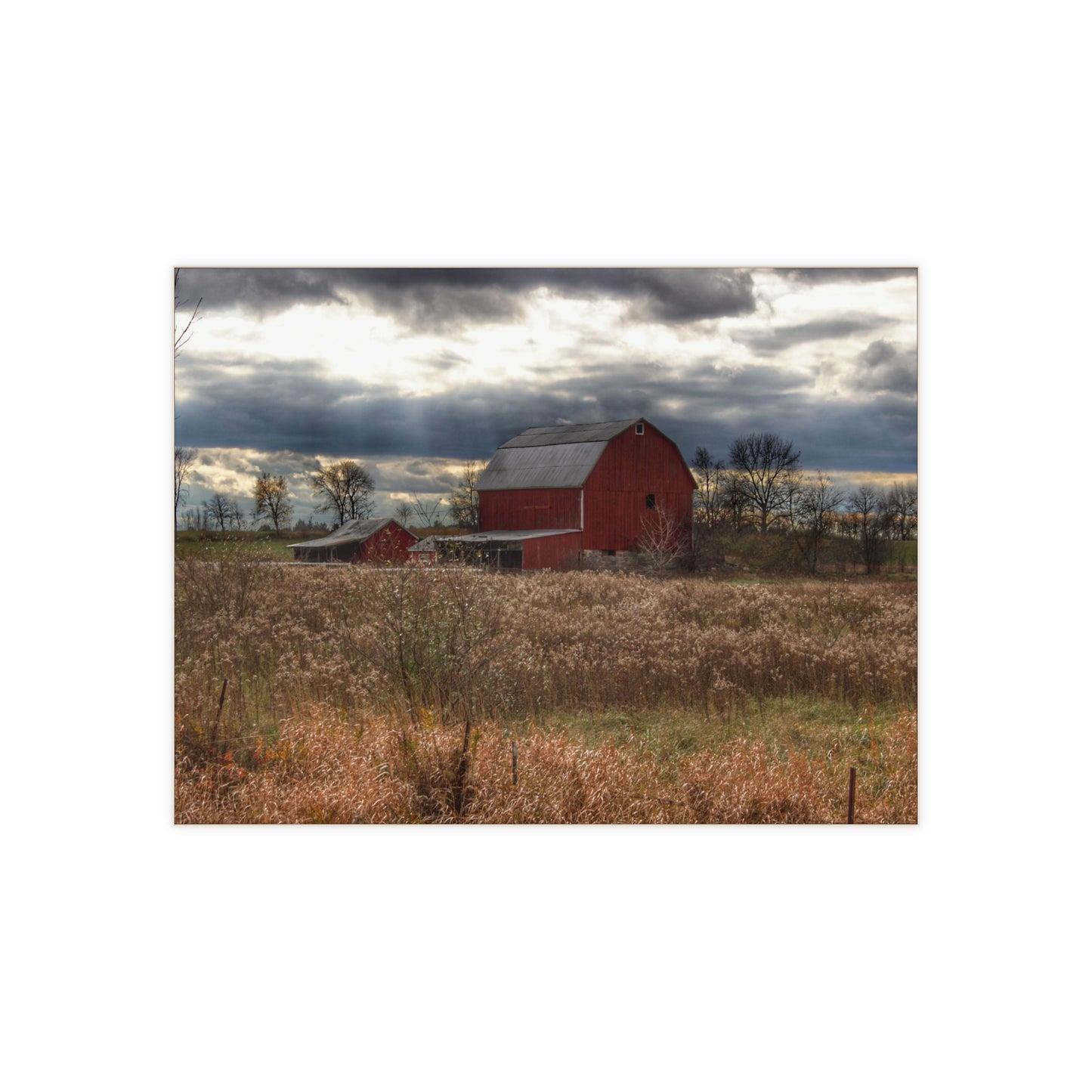U R There Photography Booth Road Cow Barn II Rustic Farmhouse Decorative Ceramic Tile