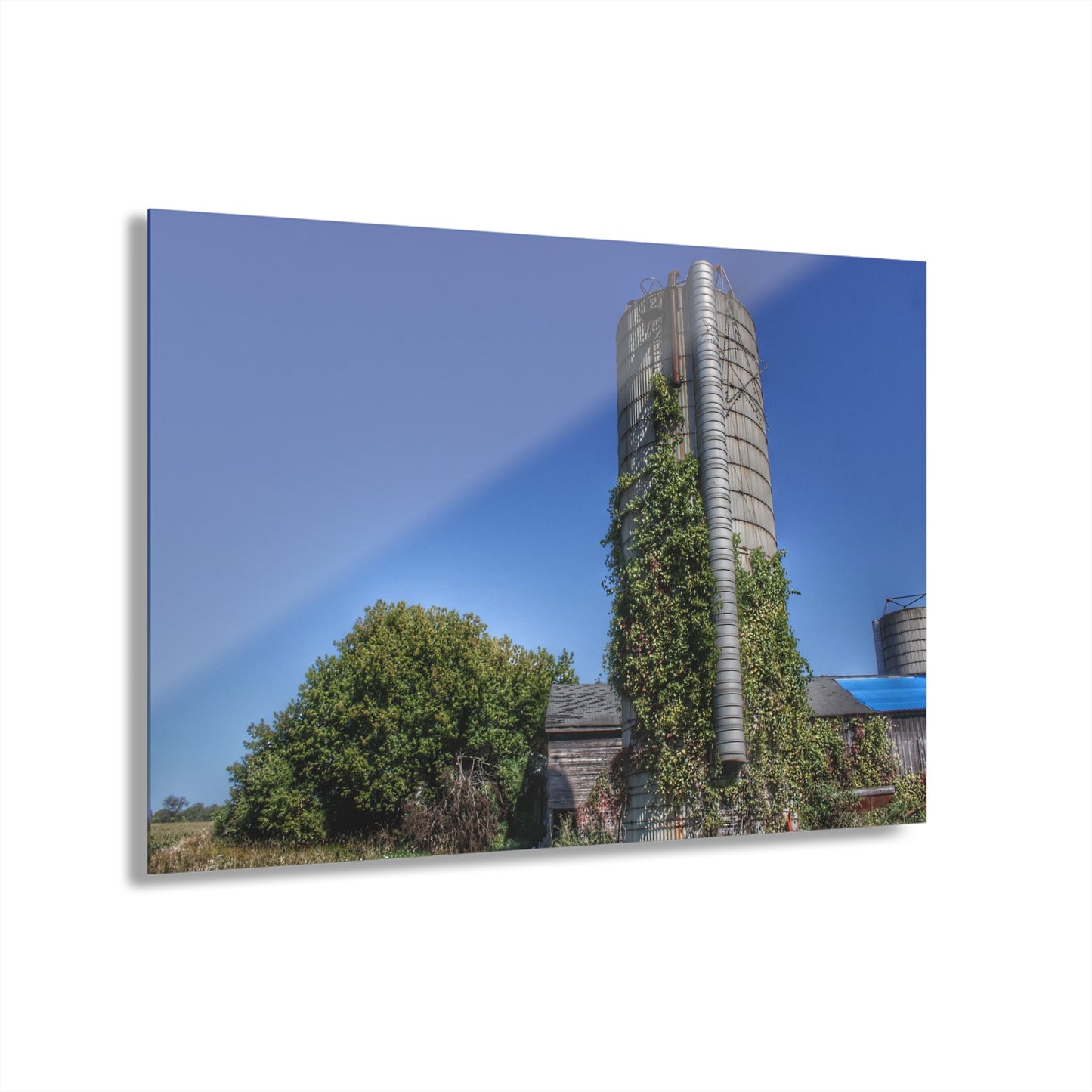 U R There Photography Bordman Road Old Grey and Silo I Rustic Farmhouse Acrylic Wall Print
