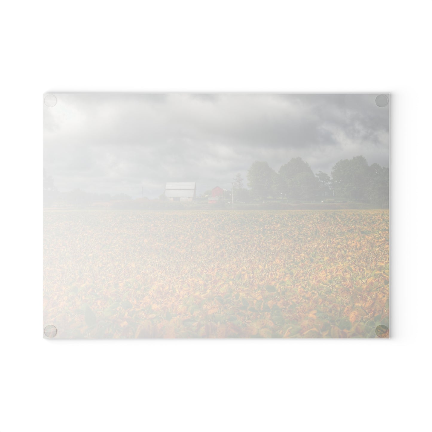 U R There Photography Golden Fields Farm Rustic Farmhouse Tempered-Glass Cutting Board