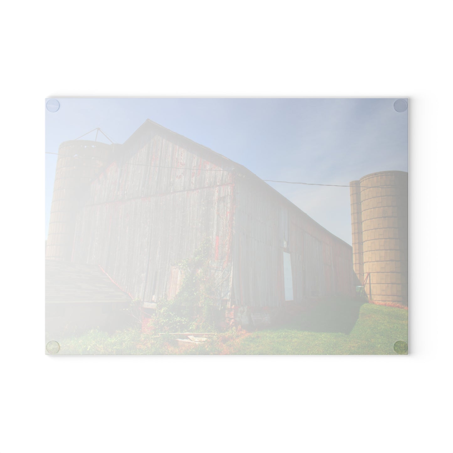 U R There Photography Marlette Red II Rustic Farmhouse Tempered-Glass Cutting Board