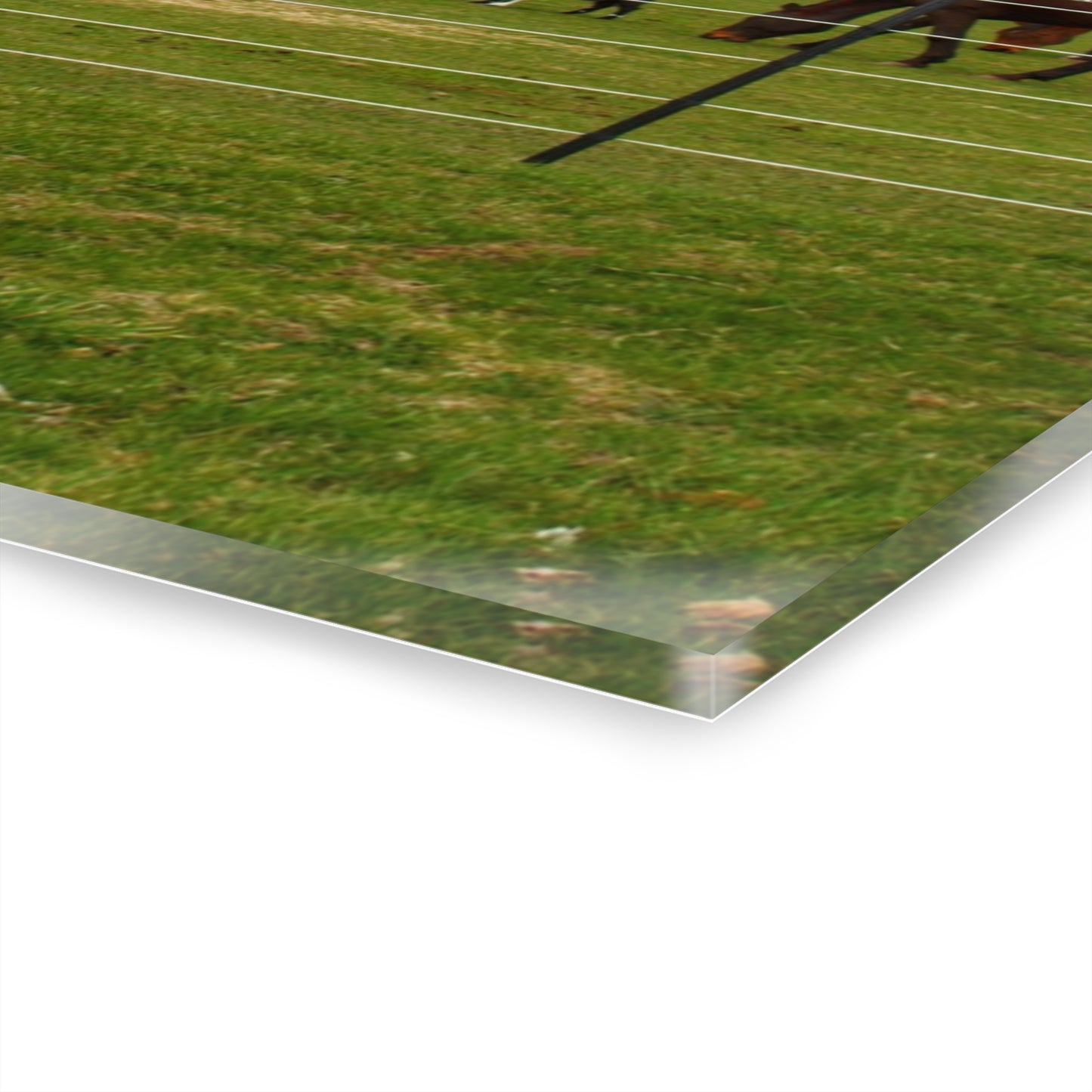 U R There Photography Fostoria Little Red Rustic Farmhouse Acrylic Wall Print