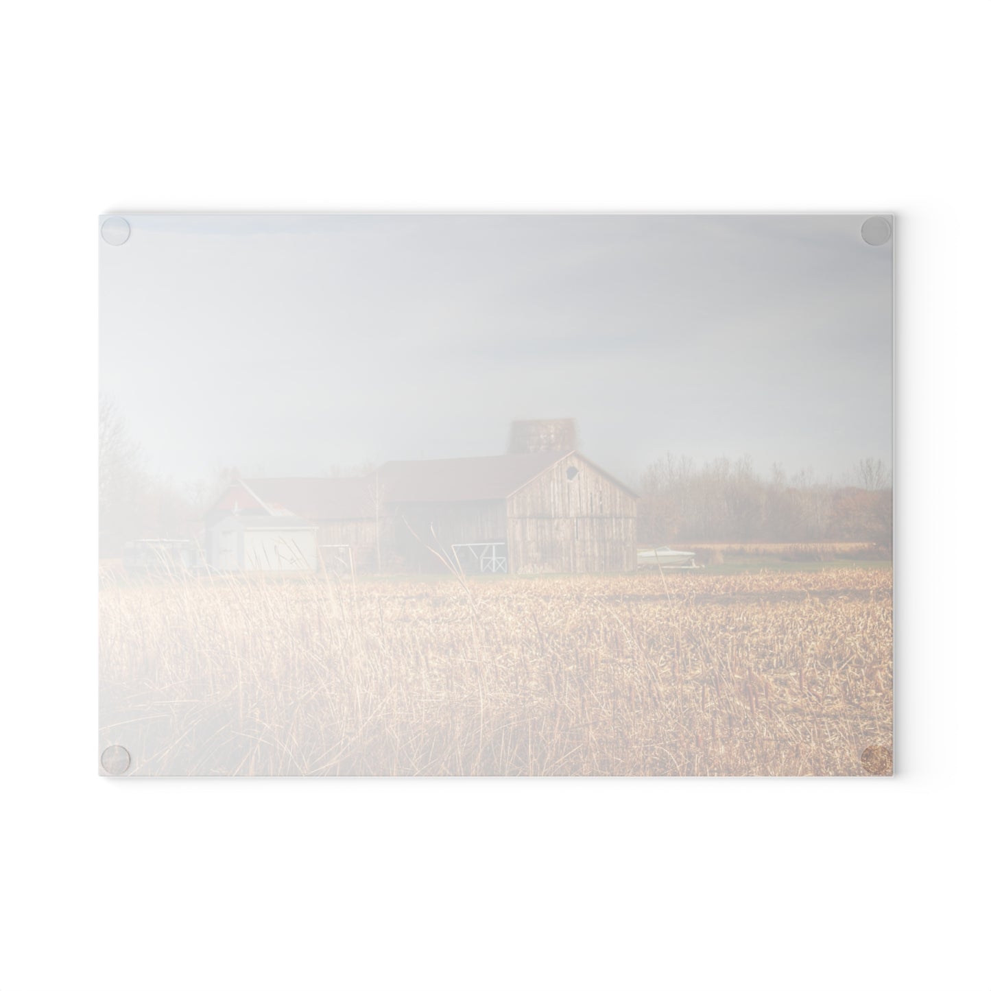 U R There Photography North Center Road Grey Rustic Farmhouse Tempered-Glass Cutting Board