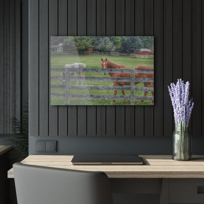 Barn Boutique Modern Farmhouse Acrylic Wall Print| Here's Looking at You