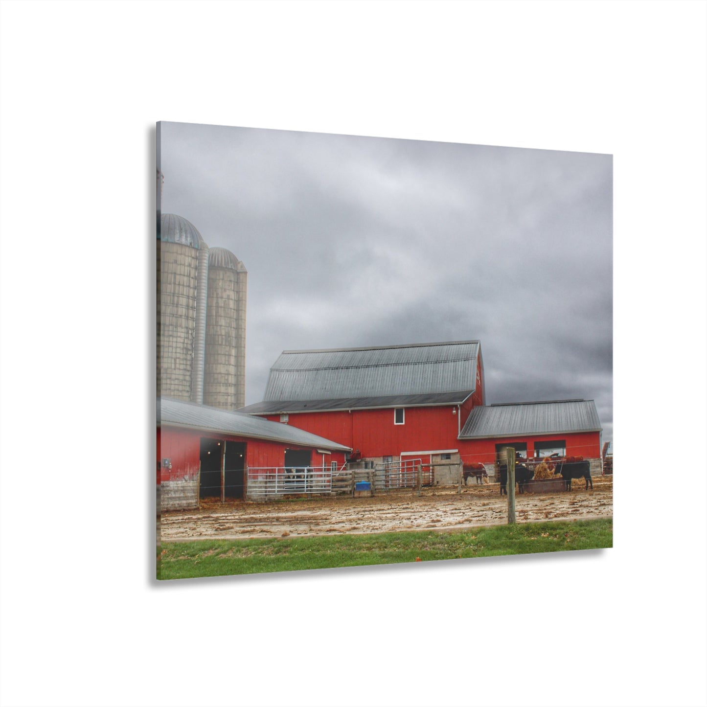 U R There Photography Daley Road Cow Barn Rustic Farmhouse Acrylic Wall Print