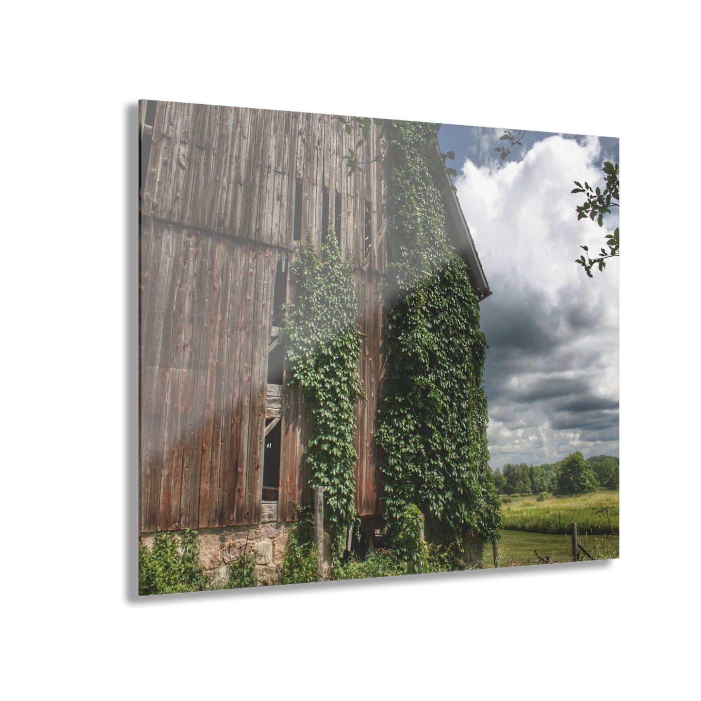 U R There Photography North Branch Ivy Grey II Rustic Farmhouse Acrylic Wall Print