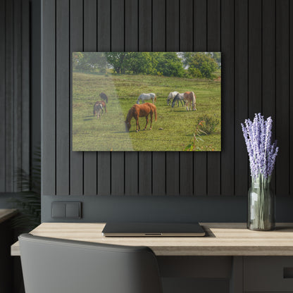 Barn Boutique Modern Farmhouse Acrylic Wall Print| Horses in the Pasture I