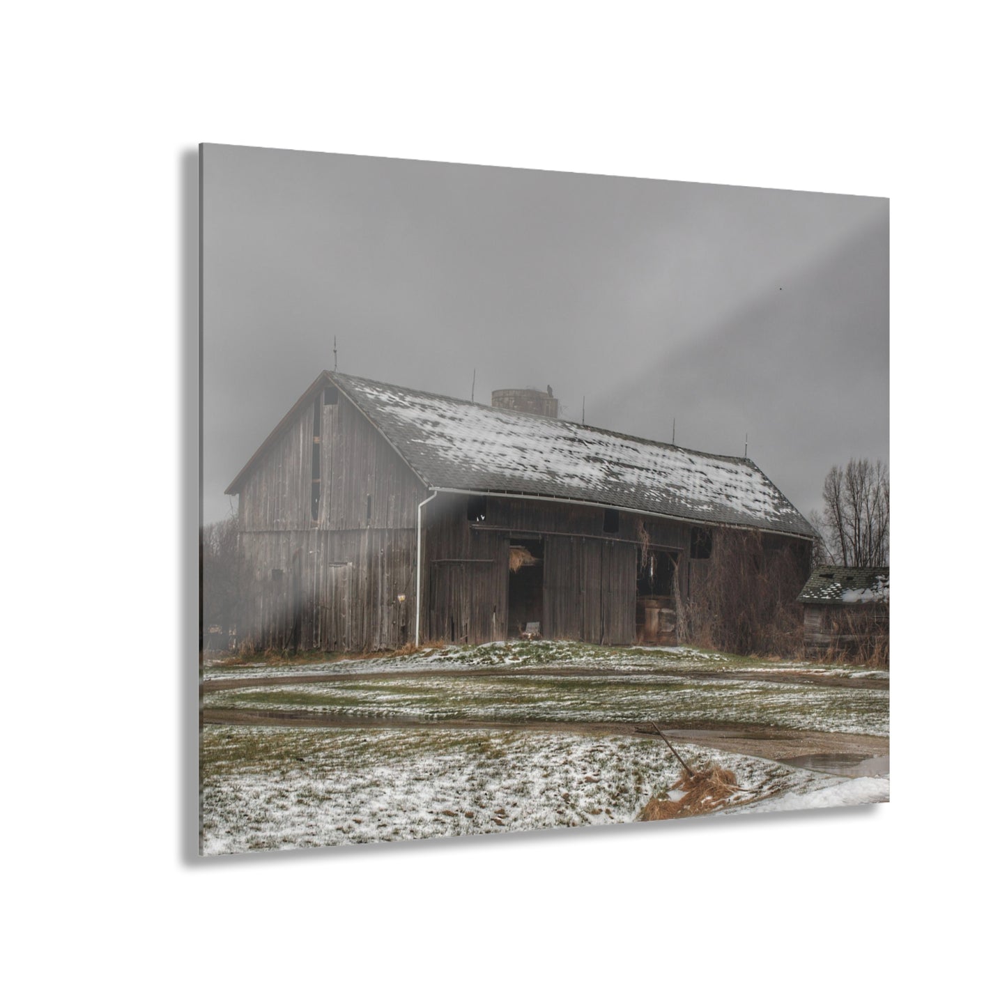 U R There Photography Wilder Road Grey in Spring Rustic Farmhouse Acrylic Wall Print