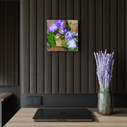U R There Photography Saint Hugos Iris Rustic Farmhouse Acrylic Analog Wall Clock