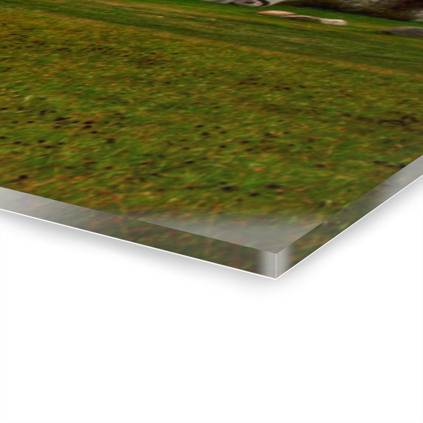 U R There Photography Milliman Road White Rustic Farmhouse Acrylic Wall Print