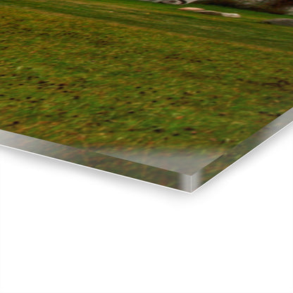 U R There Photography Milliman Road White Rustic Farmhouse Acrylic Wall Print