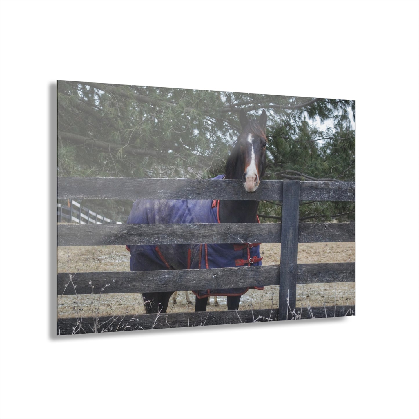 U R There Photography Hosner Road Chestnut Rustic Farmhouse Acrylic Wall Print