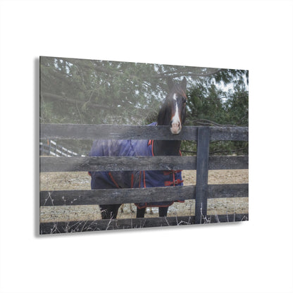 U R There Photography Hosner Road Chestnut Rustic Farmhouse Acrylic Wall Print