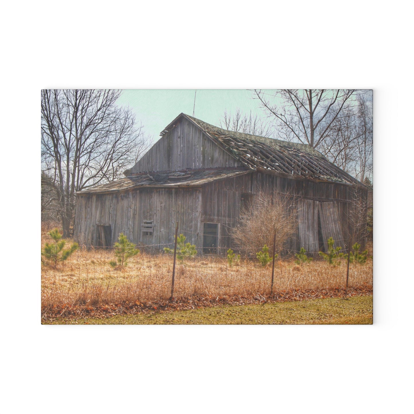U R There Photography Leix Road Forgotten Grey I Rustic Farmhouse Tempered-Glass Cutting Board
