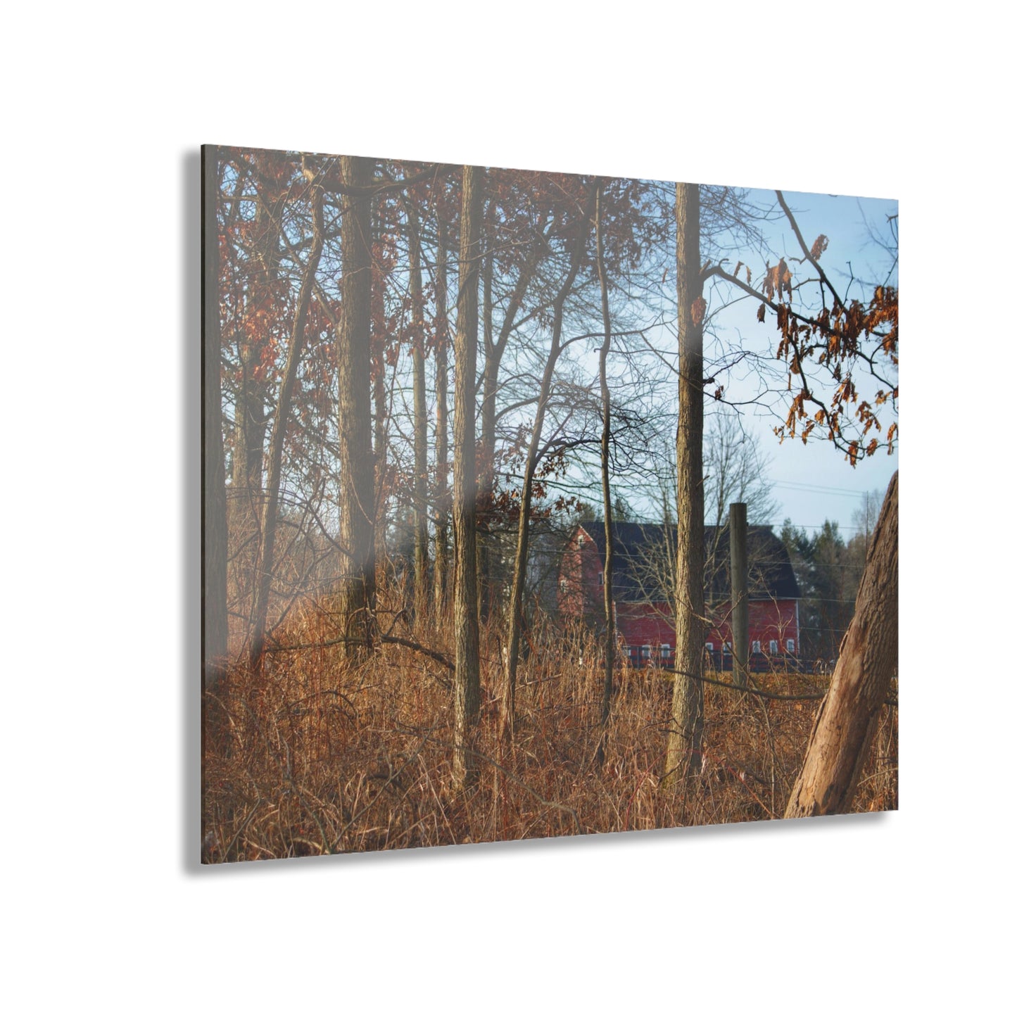 U R There Photography Blood Road Red II Rustic Farmhouse Acrylic Wall Print