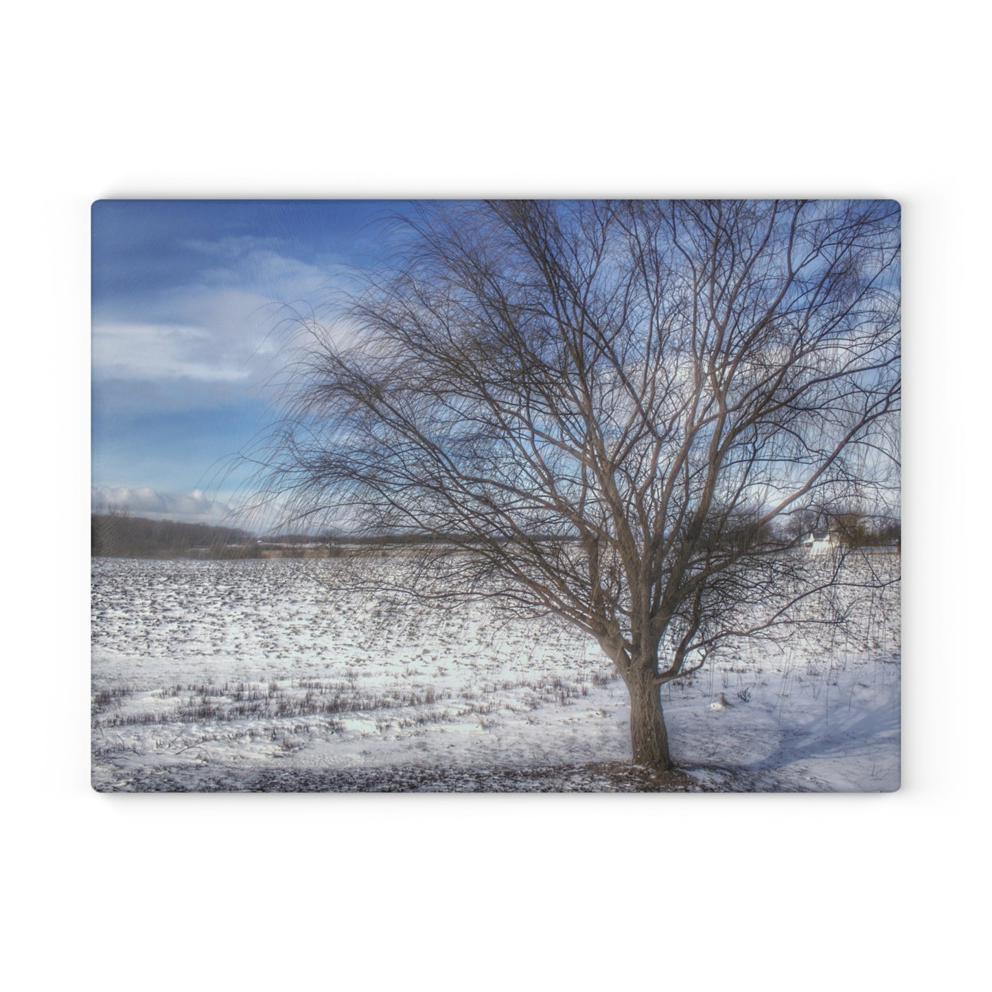 U R There Photography Winter Farm Willow Tree Rustic Farmhouse Tempered-Glass Cutting Board