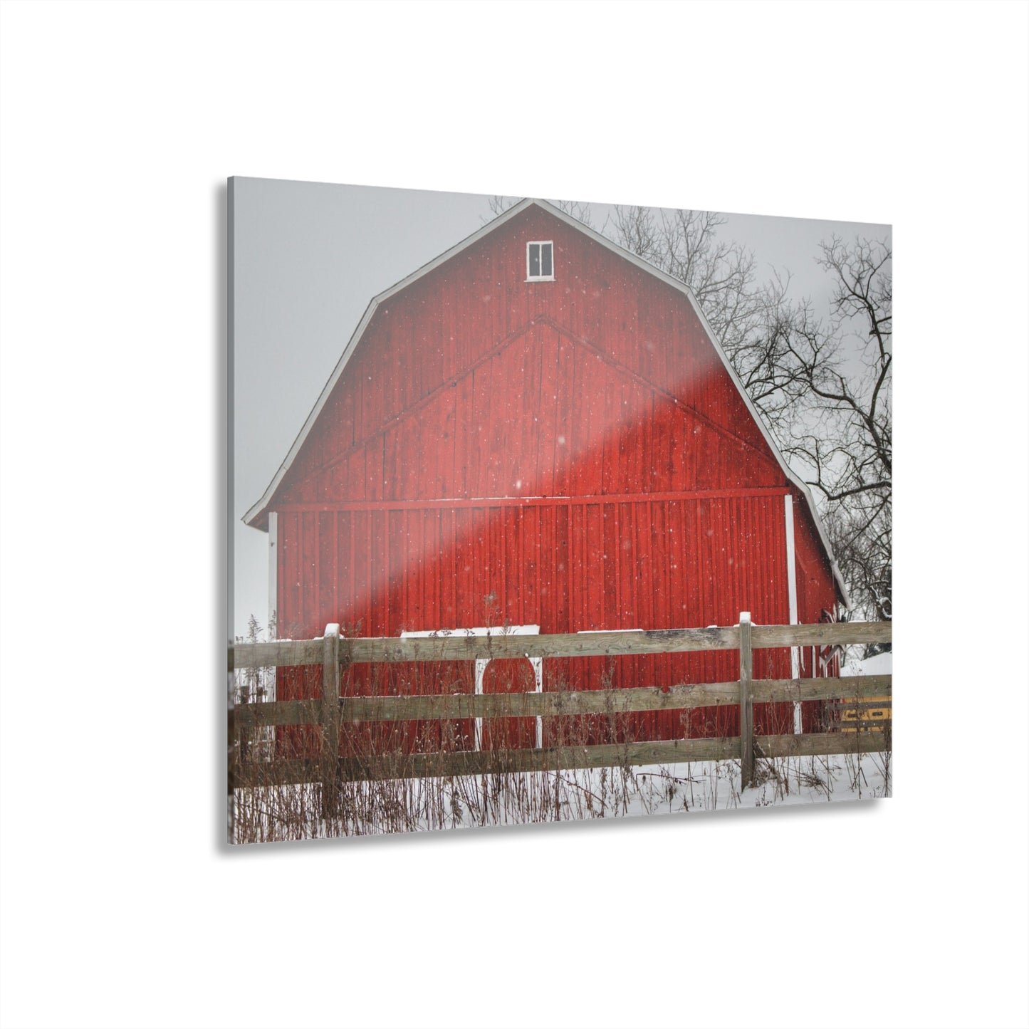 U R There Photography Big Red Beyond the Fence Rustic Farmhouse Acrylic Wall Print